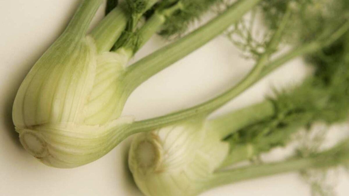 Baby fennel.
