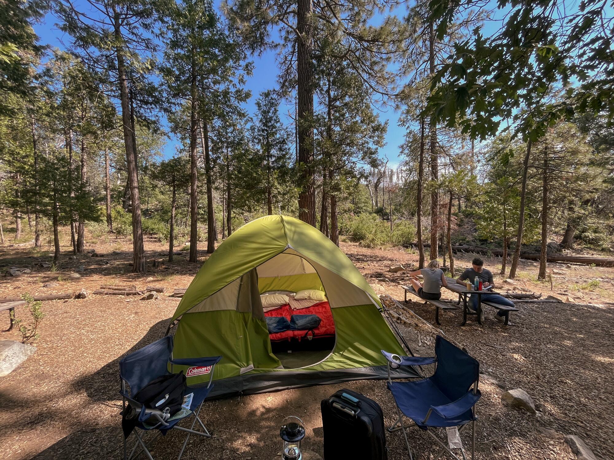 A pre-pitched tent in a forest clearing.