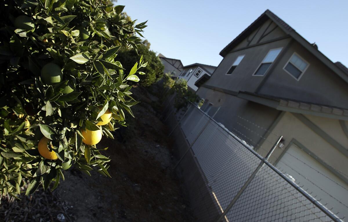 Anaheim was once synonymous with oranges, now the only grove left standing is tucked away at the corner of Harbor and West Santa Ana Street. It's also the site of the first battle of the 1936 Citrus War, in which striking orange pickers clashed with police.