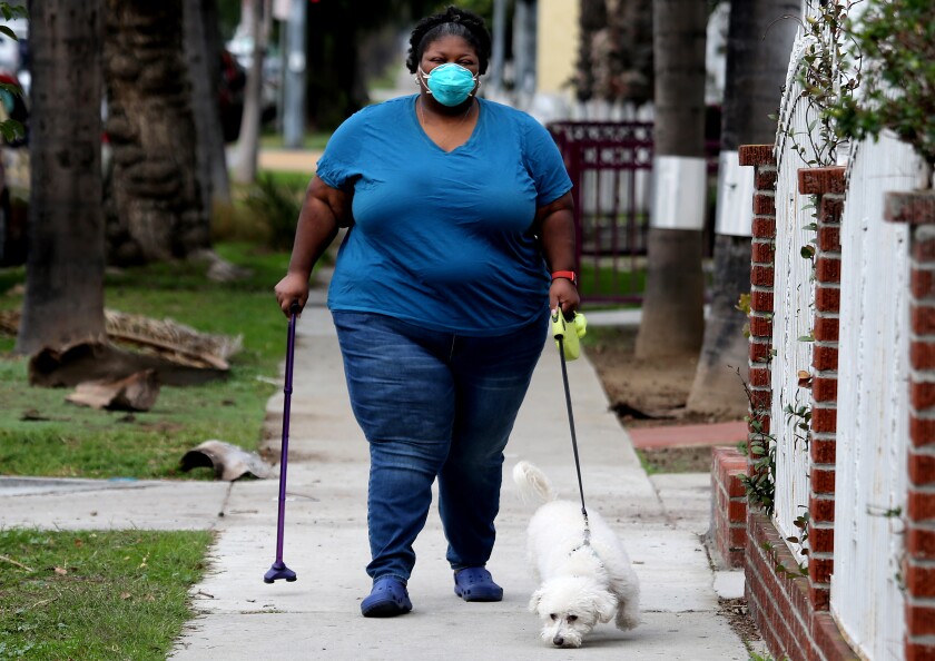 A woman using a cane walks her dog. 