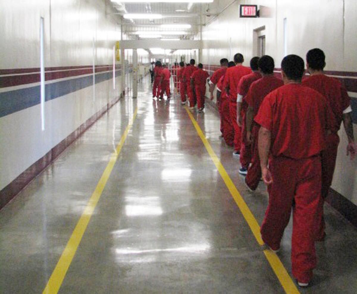 In this undated photo, immigrants walk to hearings at the Stewart Detention Center in Lupmkin, Ga. The Department of Homeland Security recently released 2,228 immigrants from detention centers around the country.