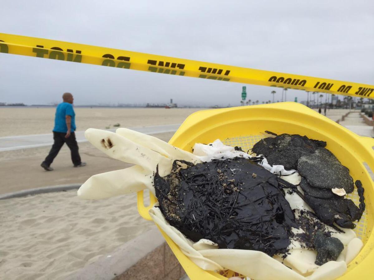 Some tar balls found on the sand in Long Beach are shown.