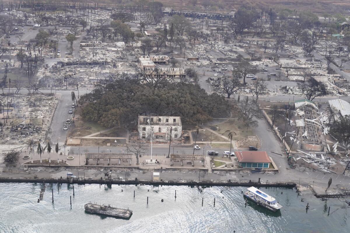 An aerial view shows husks of burned buildings and a sprawling tree.