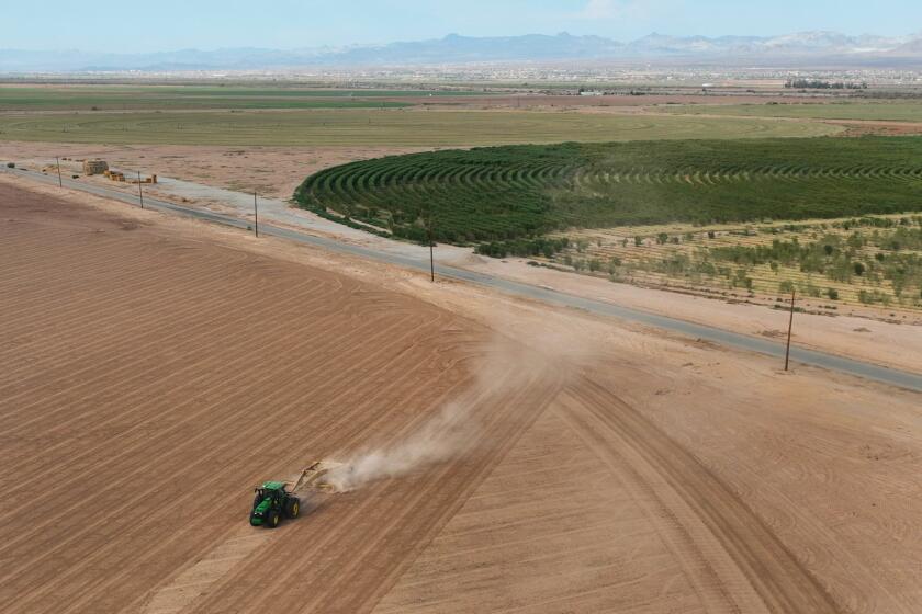 Fort Mojave, Arizona-Sept. 9, 2022-A tractor prepares land in Fort Mojave for new corps. The Colorado River runs through Fort Mojave Indian Reservation which provides water for agriculture. Fort Mojave Indian Reservation owns land along the Colorado River, which is essential to their heritage and survival. They use the water for agriculture, provide water for their residents along with other residents of the area, and use the water for recreation. Photo taken on Sept. 8, 2022. (Carolyn Cole / Los Angeles Times)