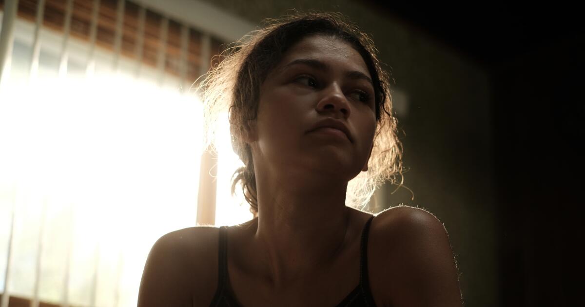 Euphoria' Season 3 Not Expected to Premiere Until 2025