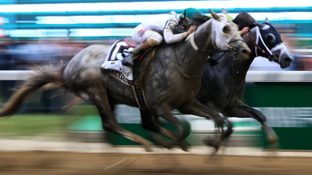 Creator (13) and Destin race to the finish line at the Belmont Stakes.