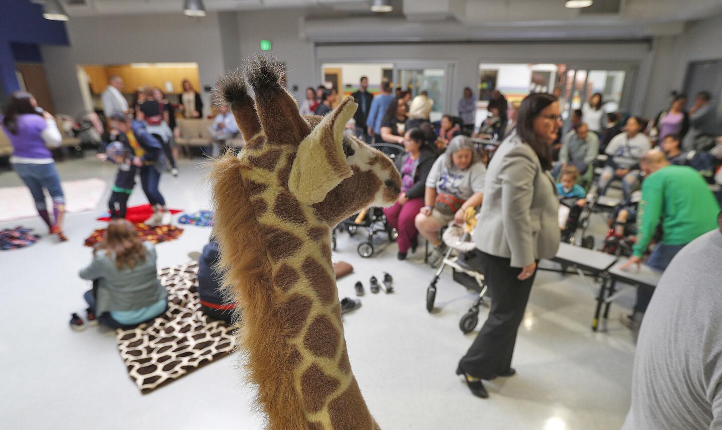 Photo Gallery: College View School breaks own giraffe sock record