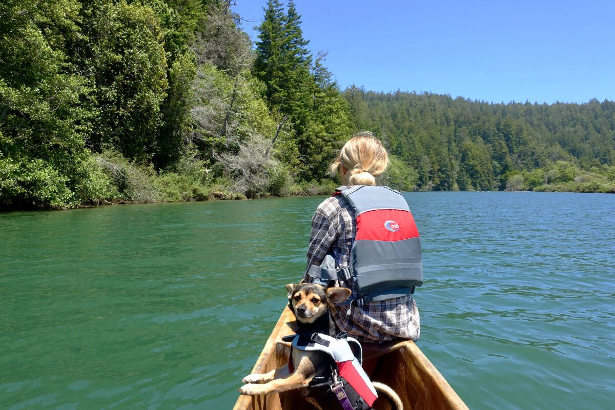 The author’s daughter and their dog explore Mendocino’s Big River in a canine-friendly outrigger rented from Catch a Canoe.