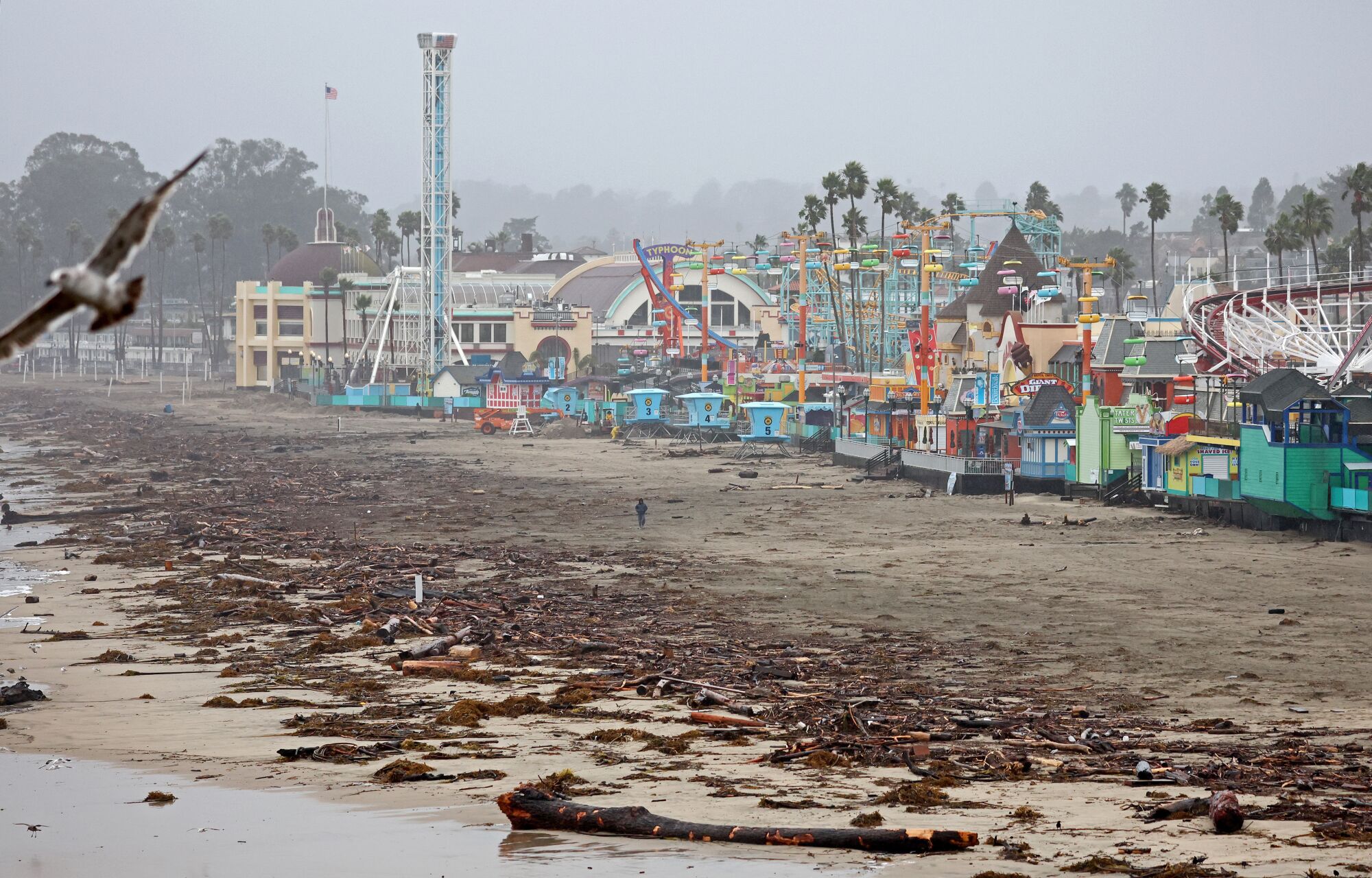A one person walks near driftwood storm debris washed up on a beach in front of the Santa Cruz Beach Boardwalk