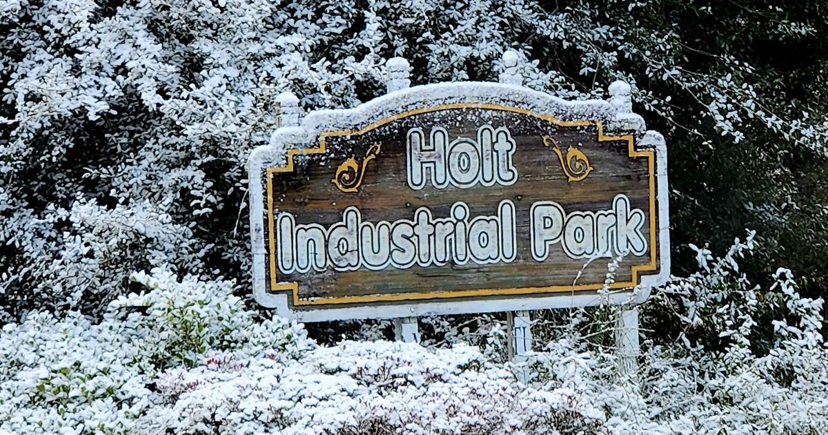 Partes do Sunshine State estão vendo neve pelo segundo ano consecutivo Partes do Sunshine State estão vendo neve pelo segundo ano consecutivo