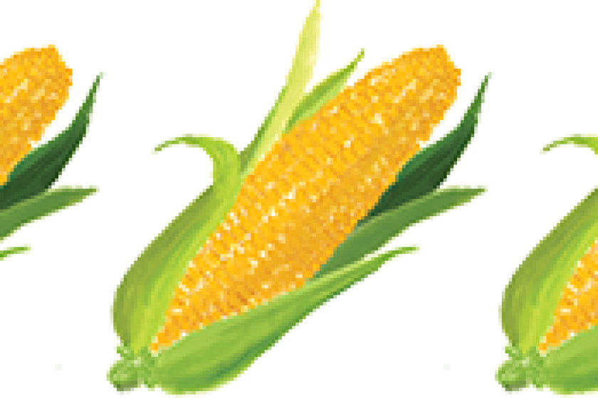 An illustration of corn