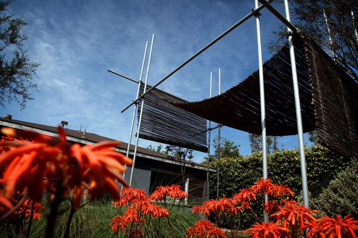 The designer's funky pipe pergola is constructed of a swooping length of bamboo fencing hung from French scaffolding.