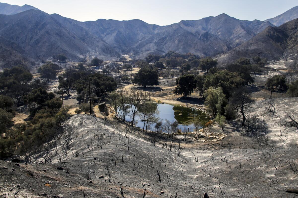 The set of "Utopia," a reality show on Fox, was destroyed when the Sand fire tore through Sable Ranch in Santa Clarita.