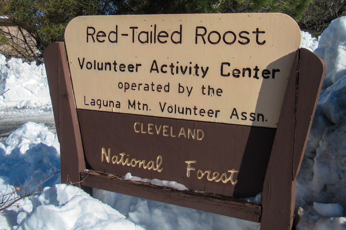 Red-Tailed Roost