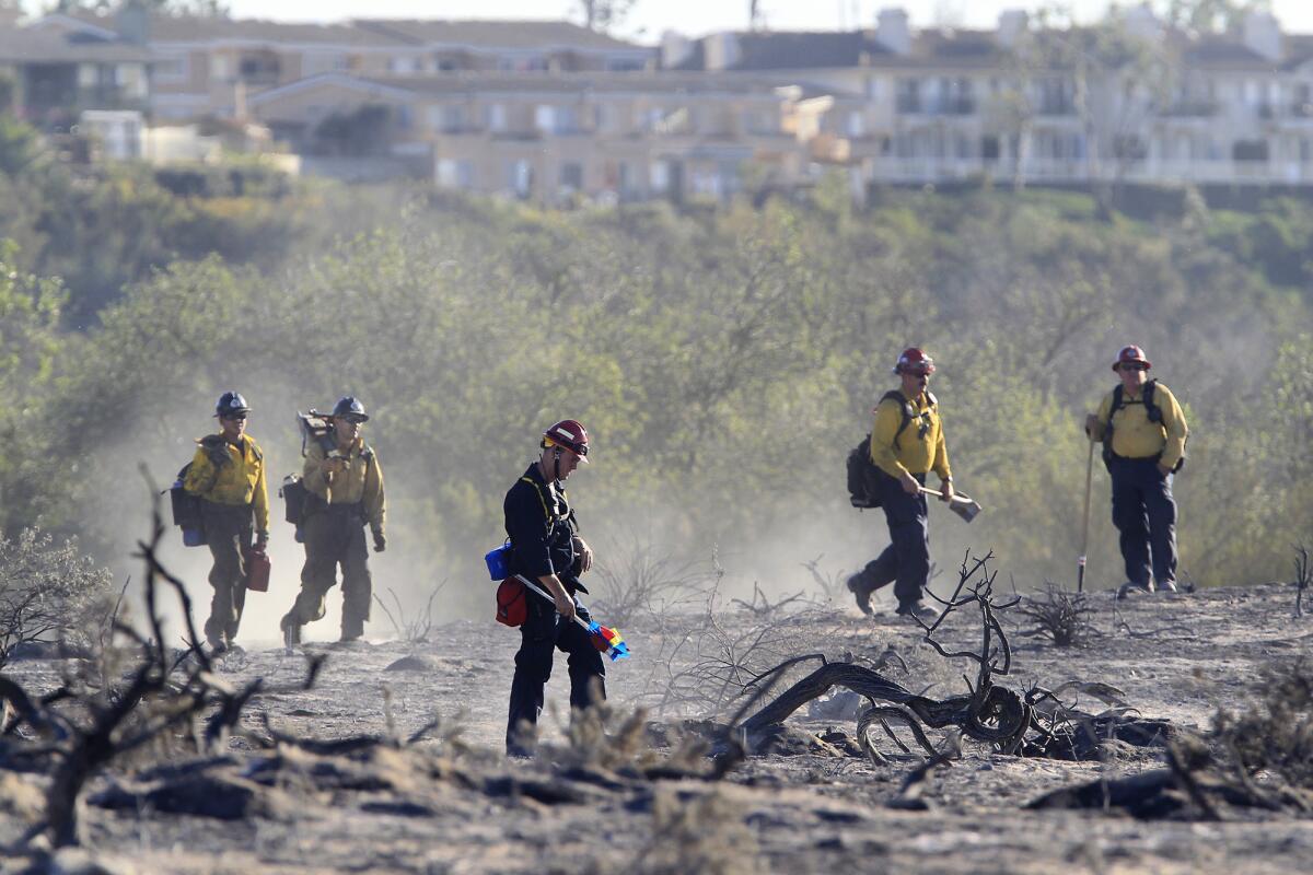 Firefighters survey the scene after a brush fire damaged about three acres in Talbert Regional Park.