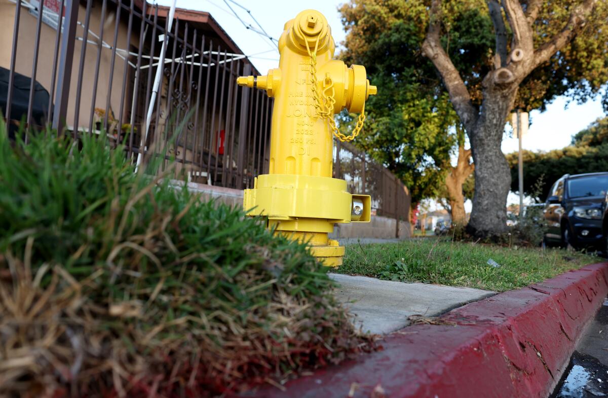 A fire hydrant, with a locking device that prevents access to the bolts, at 82 Street and Hooper Avenue in Los Angeles.