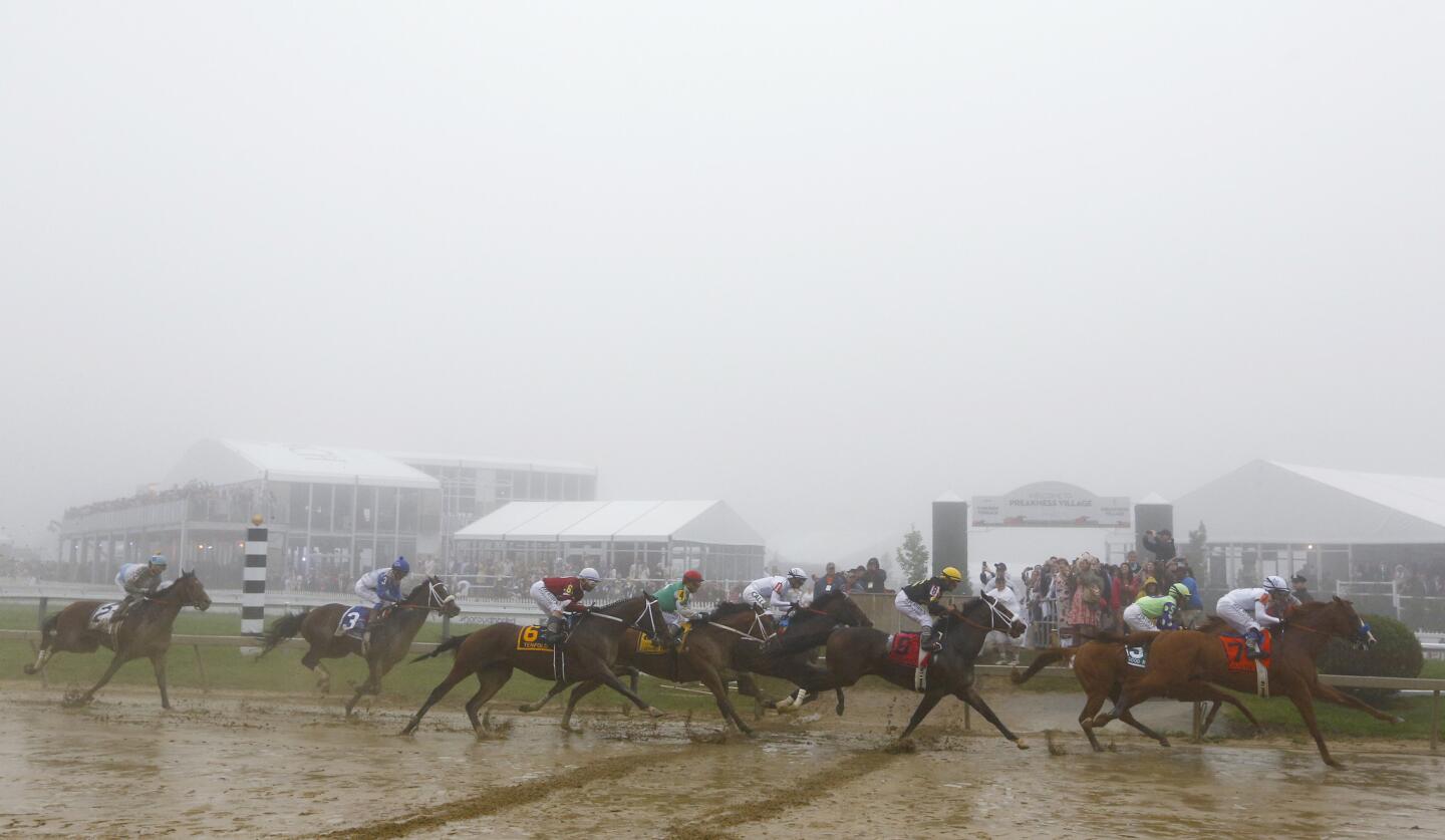 APphoto_Preakness Stakes Horse Race