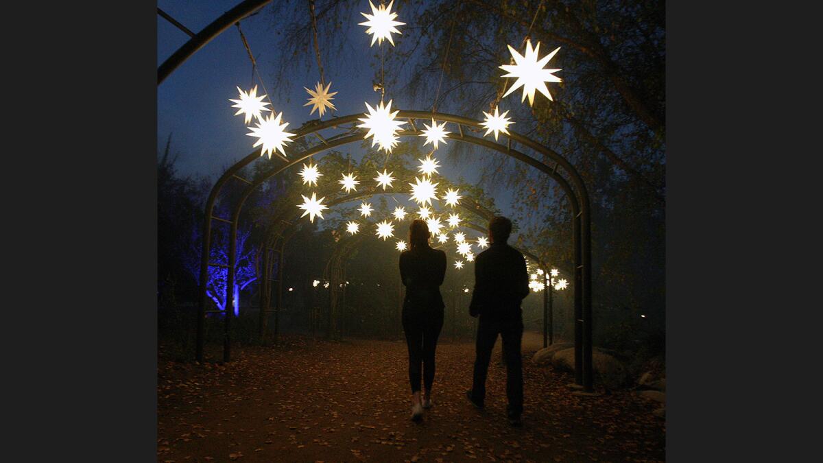 A pathway, illuminated with star lights, guides visitors to the "Lightwave Lake" display at Descanso Garden's "Enchanted: Forest of Light!" in La Cañada Flintridge on Monday, November 21, 2016.