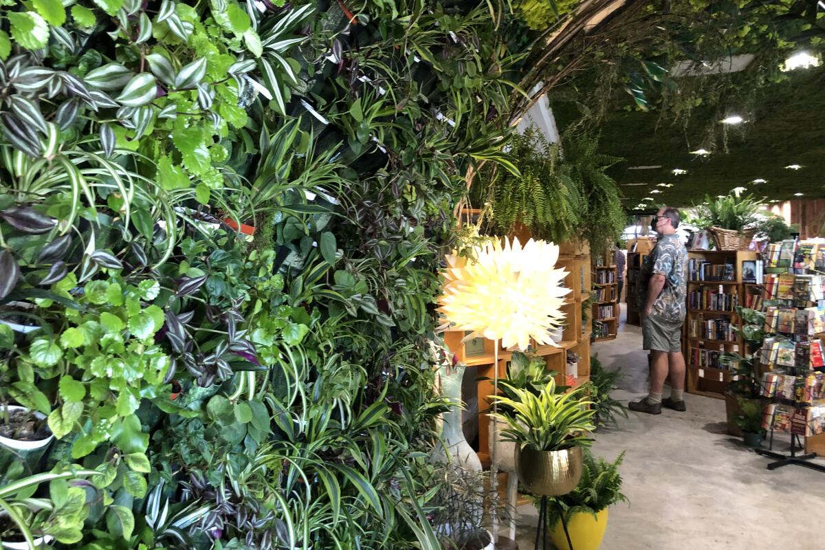 A dense wall of plants with bookshelves in the distance