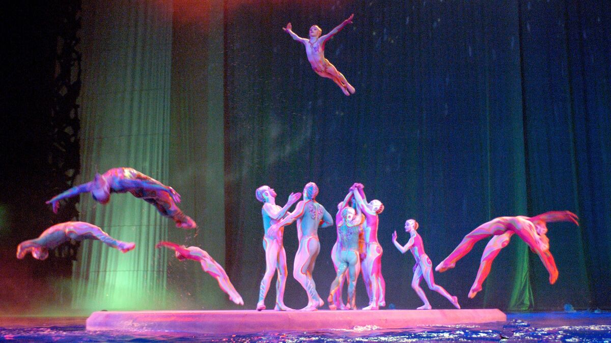 Acrobats in full-body leotards arch as they leap into water, with one outstretched while tossed into the air.