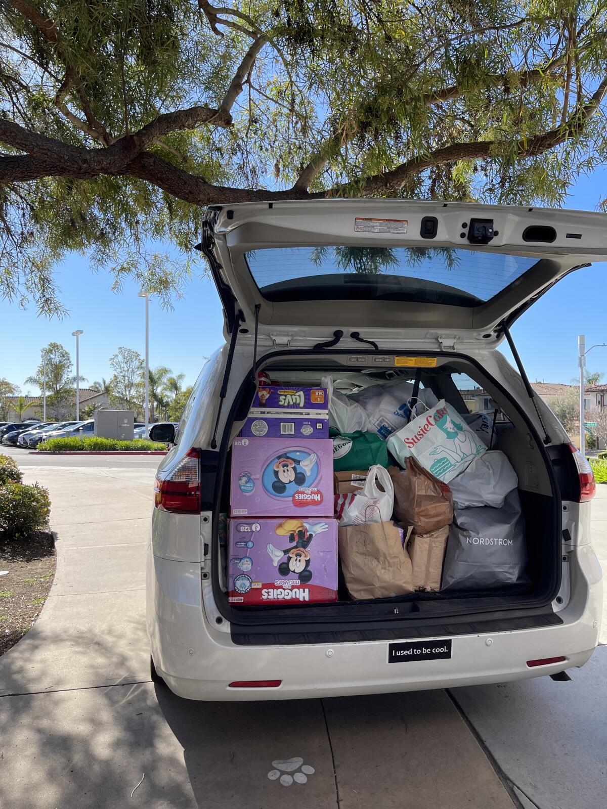 The Segal family minivan filled with donations for House of Ukraine.