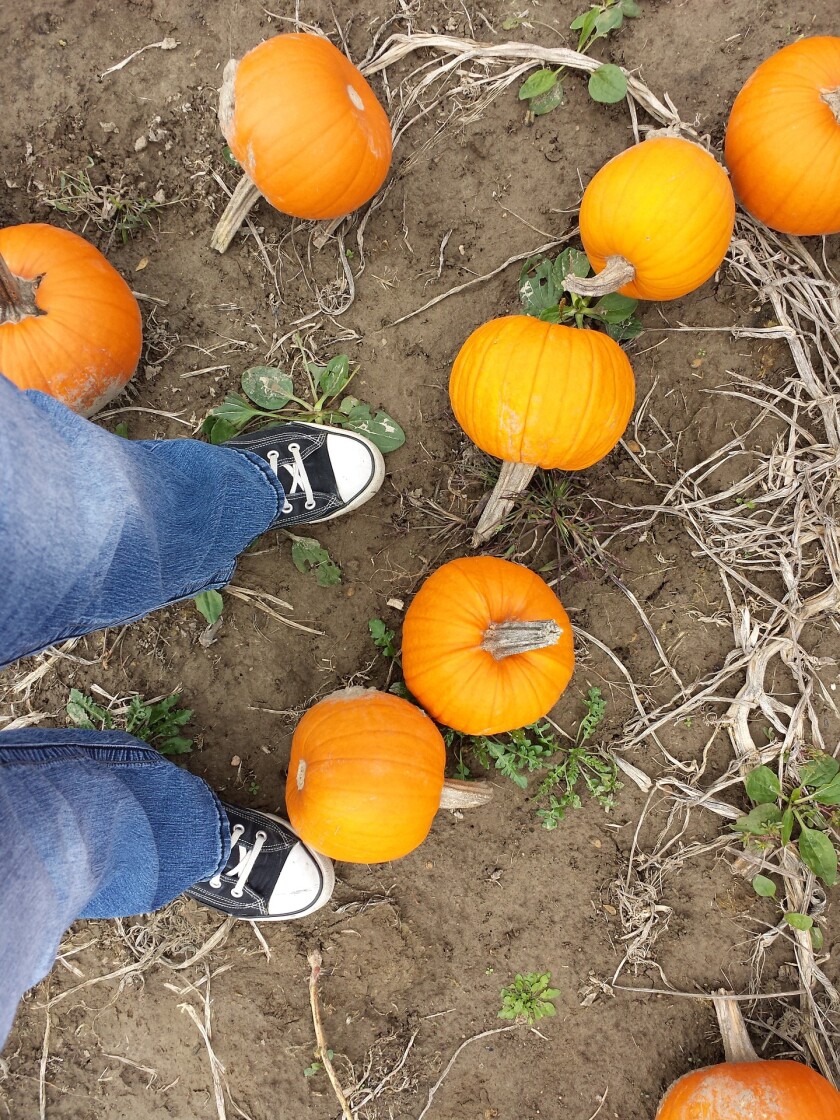 Fall is a favorite time for varicose vein treatment
