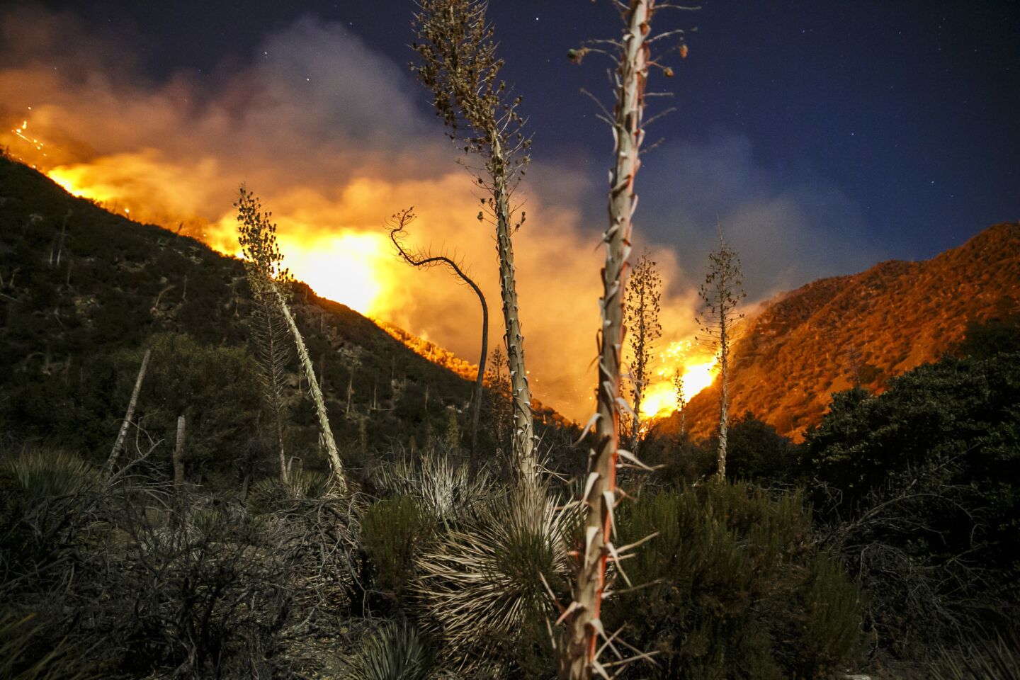 The Blue Cut fire continues to burn north of Lytle Creek in San Bernardino County.
