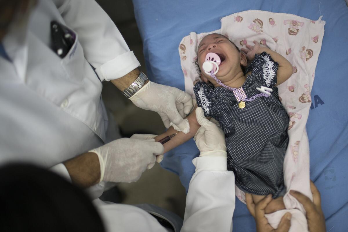 A doctor draws blood from Luana, who was born with microcephaly, at the Oswaldo Cruz Hospital in Recife, Brazil. Brazilian officials still say they believe there's a sharp increase in cases of microcephaly and strongly suspect the Zika virus as the cause.