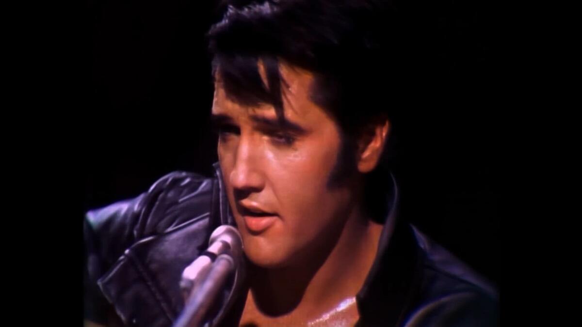 A singer in a leather jacket at a microphone.