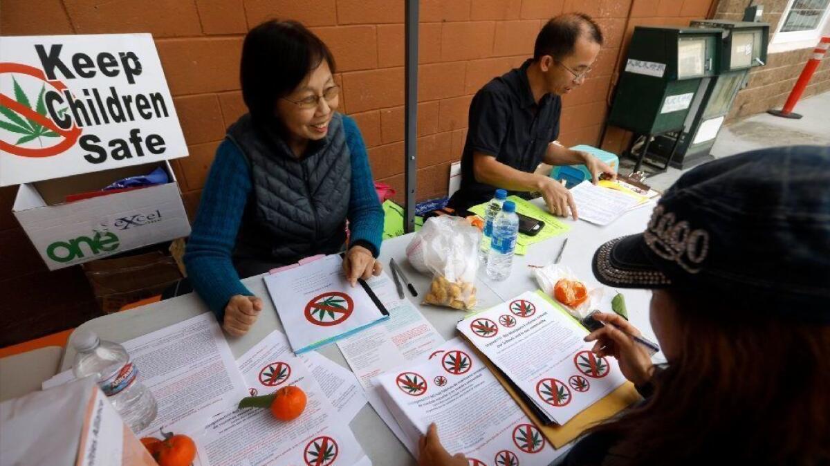 Nancy Fang, left, of San Gabriel, Zig Jiang, middle, of Hacienda Heights and Lily Chan, right, of Temple City prepare fliers to distribute against the approval of future marijuana production sites.