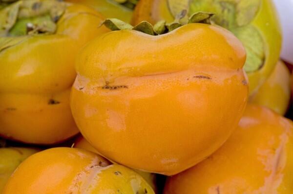 Tamopan persimmons