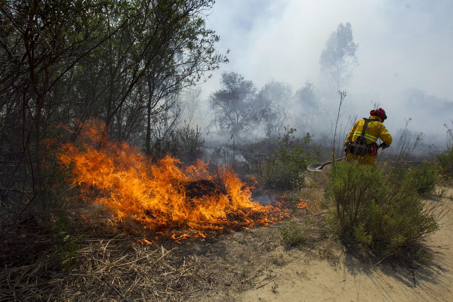 Talbert Park Fire