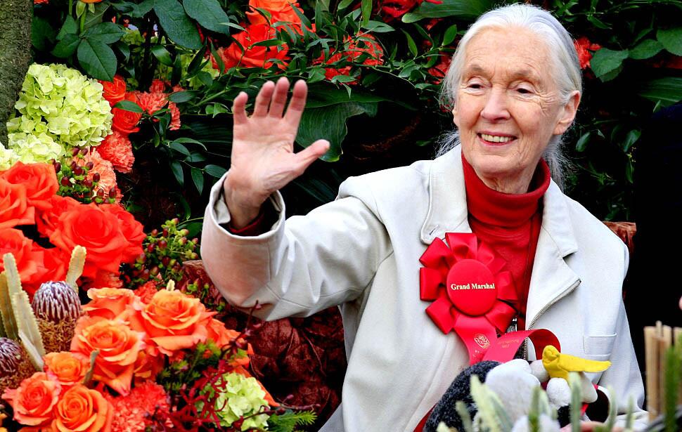 The 124th Tournament of Roses Parade