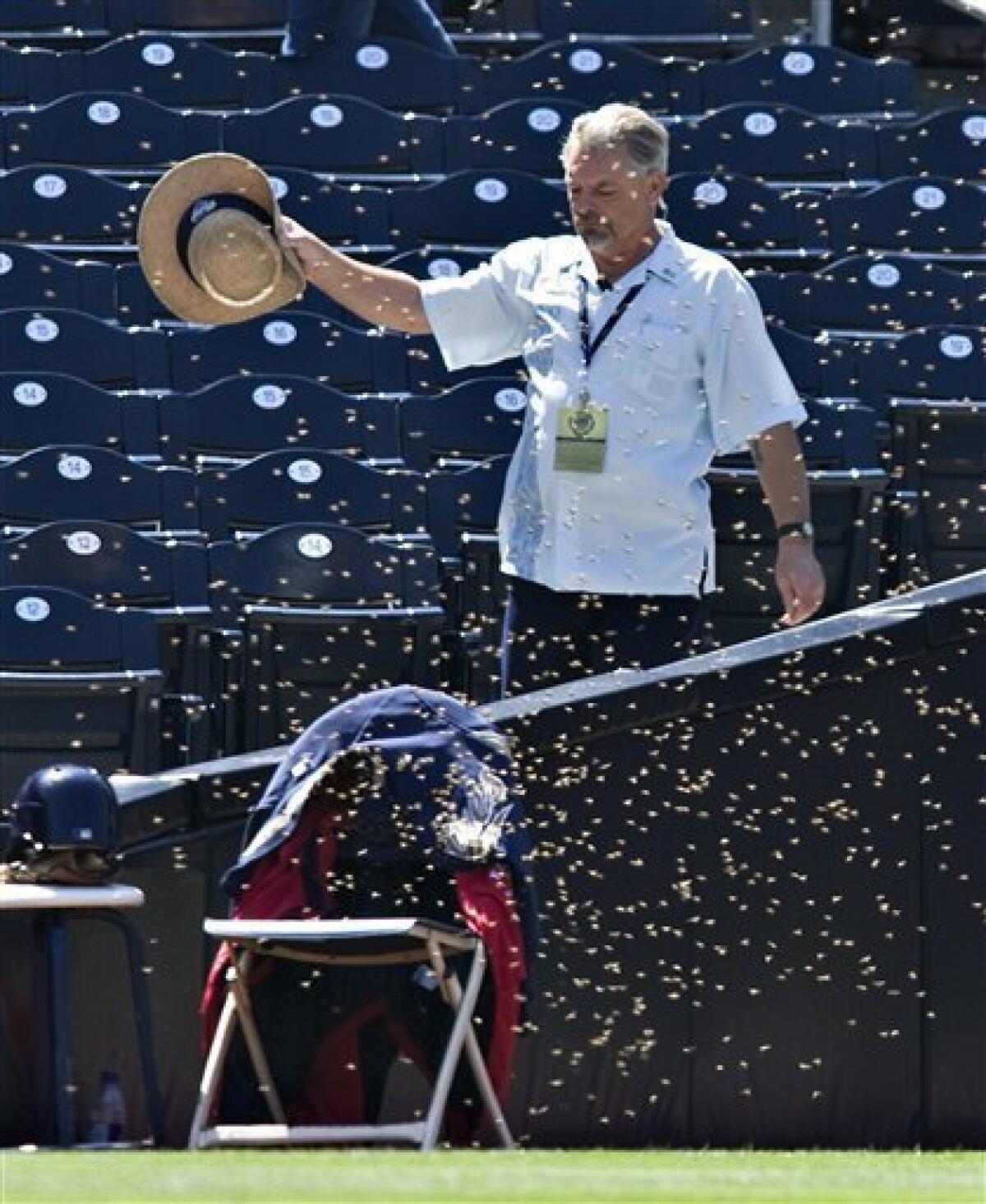 Un-bee-lievable: Bee swarm delays Astros' 7-2 win - The San Diego  Union-Tribune