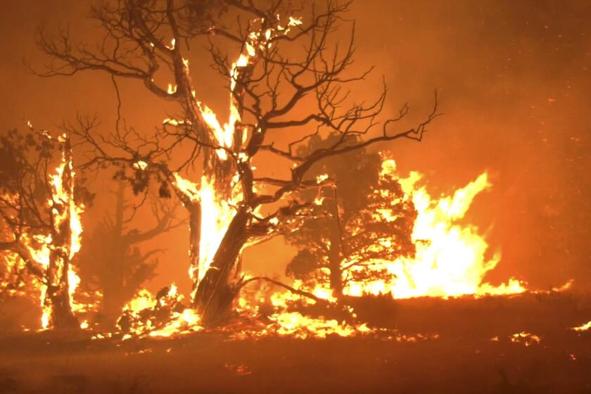 The Lava fire in Siskiyou County is now at 13,330 acres with 20% containment. It's the largest of five wildfire burning in California.