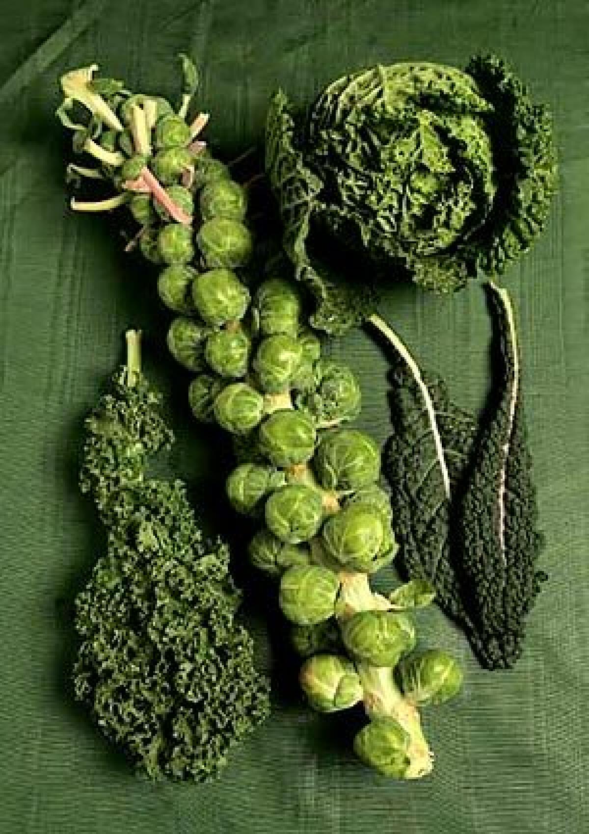 From left, curly kale, a stalk of Brussels sprouts, dinosaur kale and savoy cabbage  so earthy and fresh.