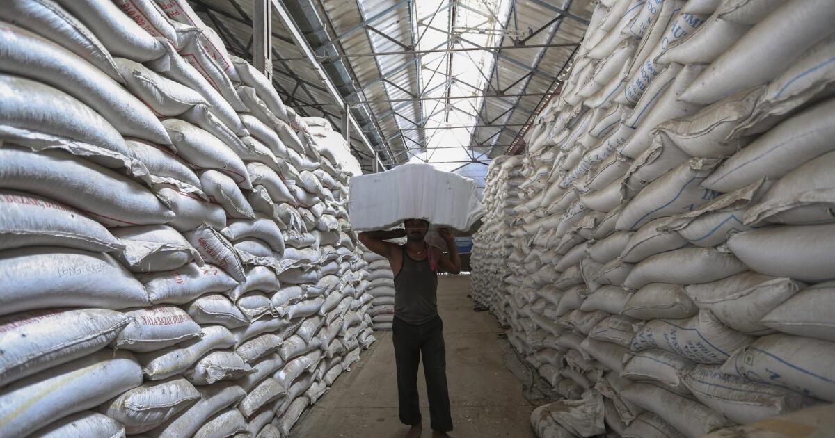 India passes massive program to feed 800 million in poverty