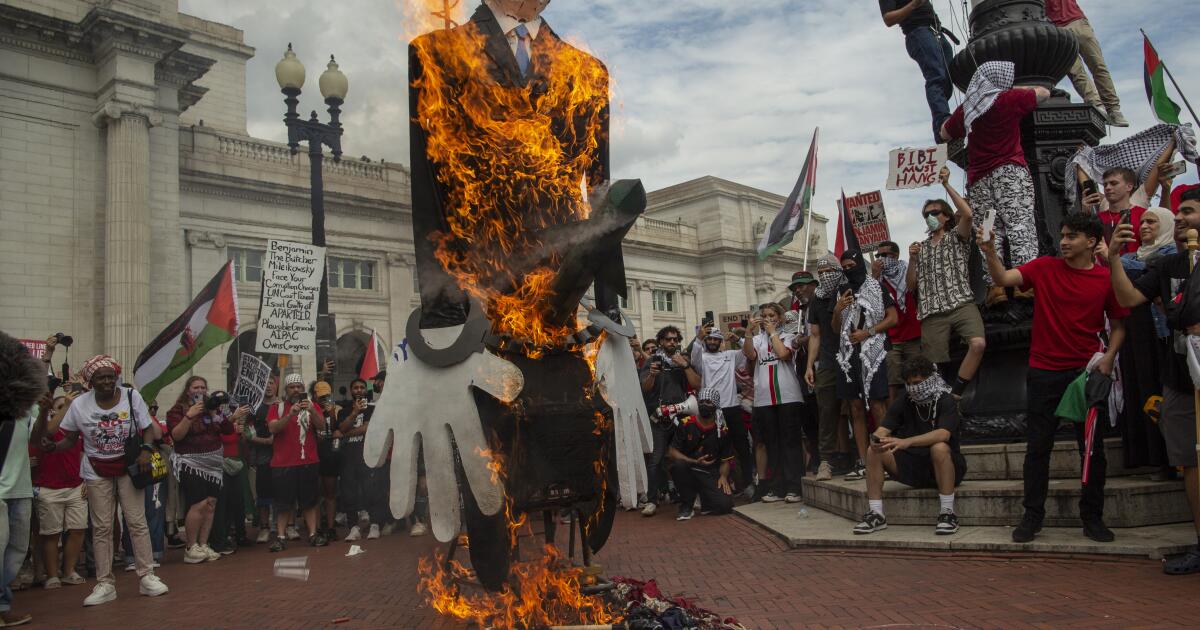 Opinion: Planning to protest at the DNC in August? Here's why you shouldn't