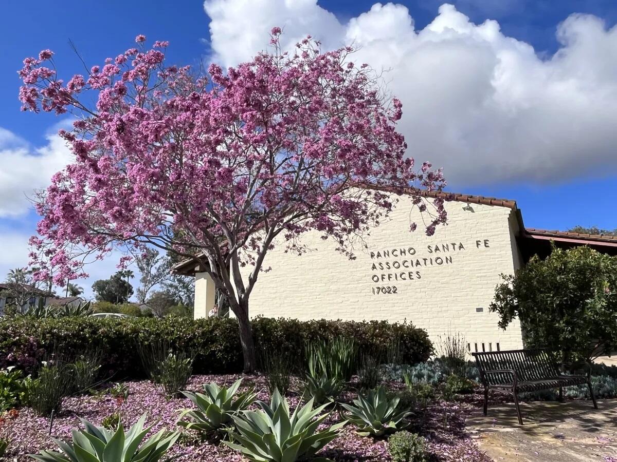 The Rancho Santa Fe Association offices.