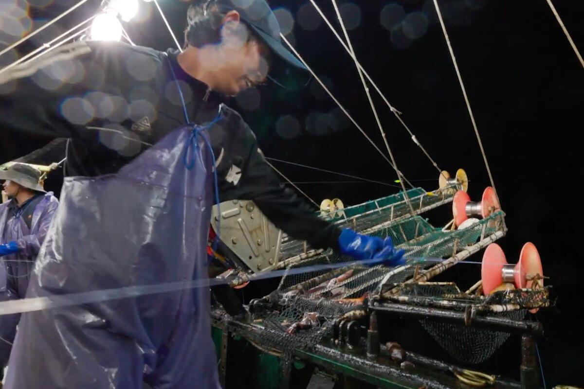 A crew member on a Chinese fishing vessel pulls in squid.