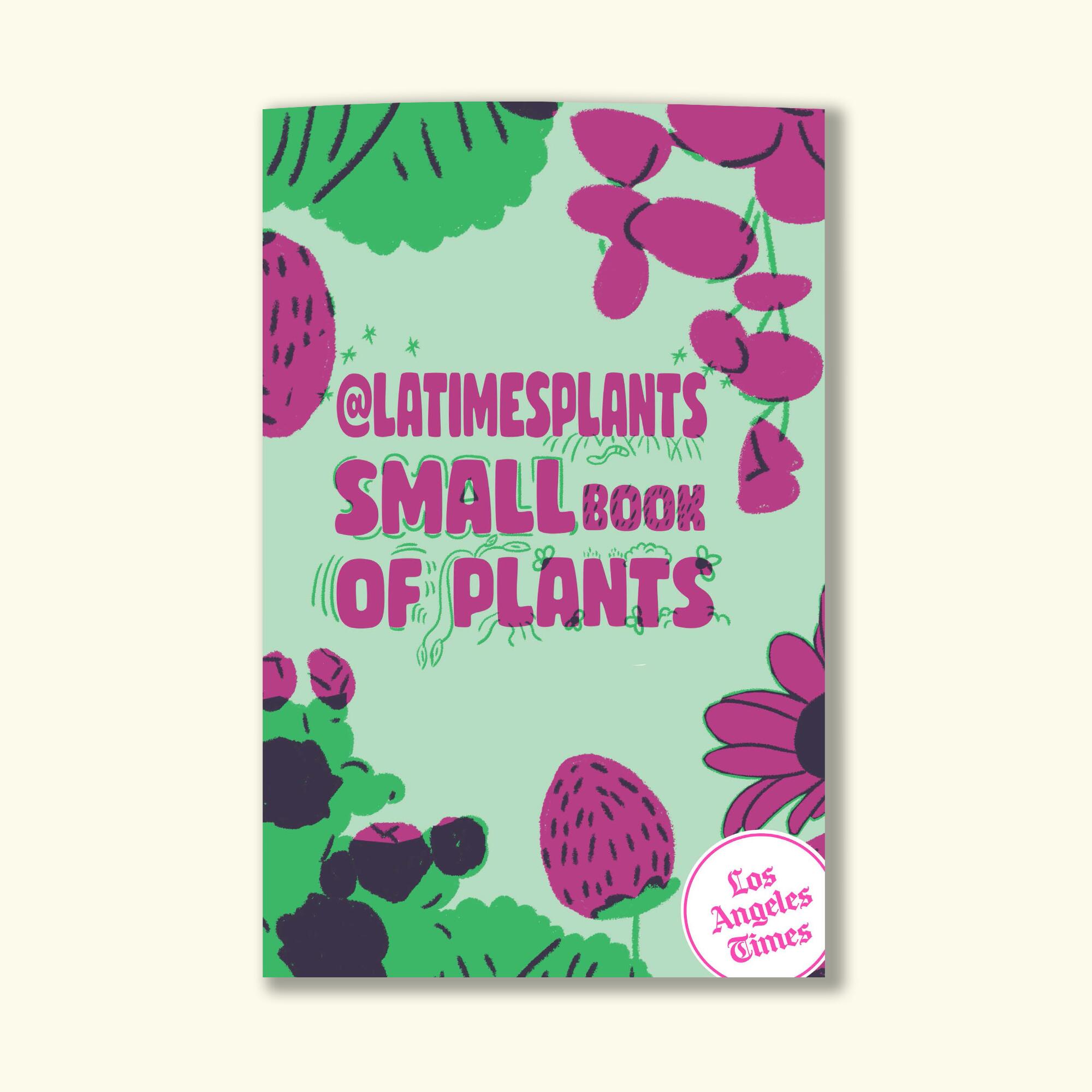 Cover of The Times' plant zine