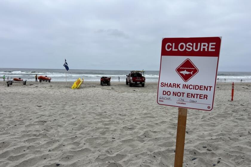 A two-mile stretch of beach in Del Mar was closed after a swimmer was attacked Sunday morning.