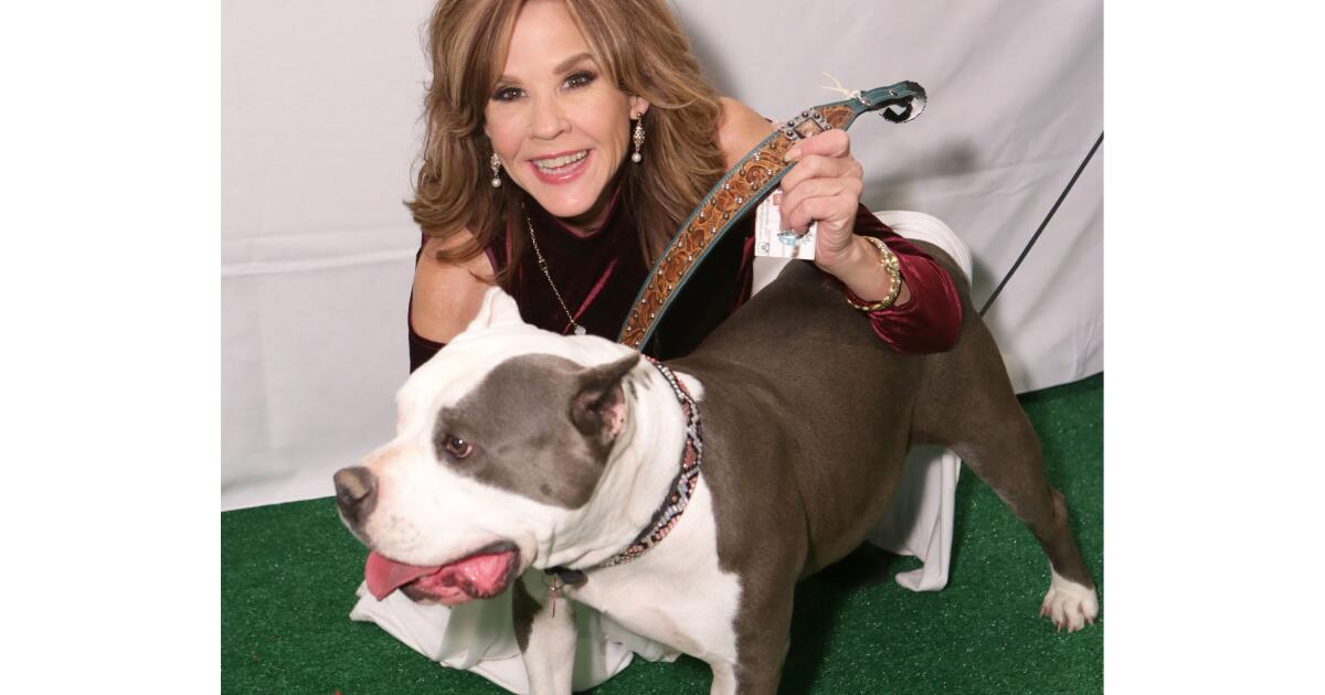 'The Exorcist' actor Linda Blair's home and dog kennels searched by L.A. County officials