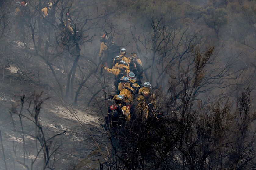 Firefighters move through charred trees