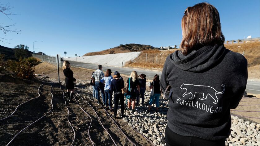 Molly Judge, right, director of leadership giving and individual philanthropy for the National Wildlife Federation, tours an area near the Liberty Canyon offramp of the 101 Freeway.