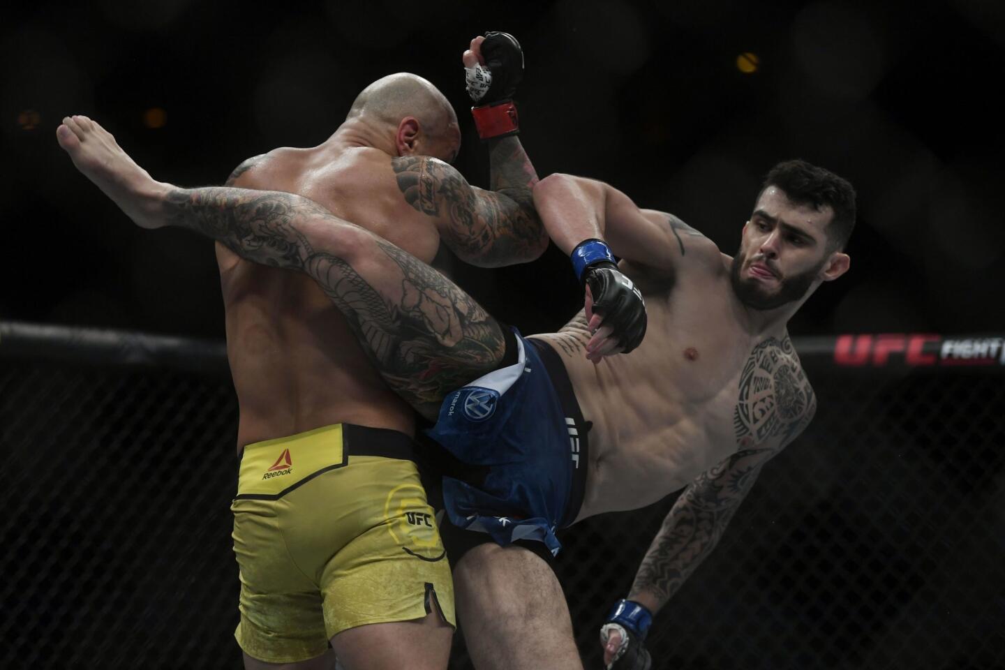 UFC 237-MMA-ALVES-STAROPOLI