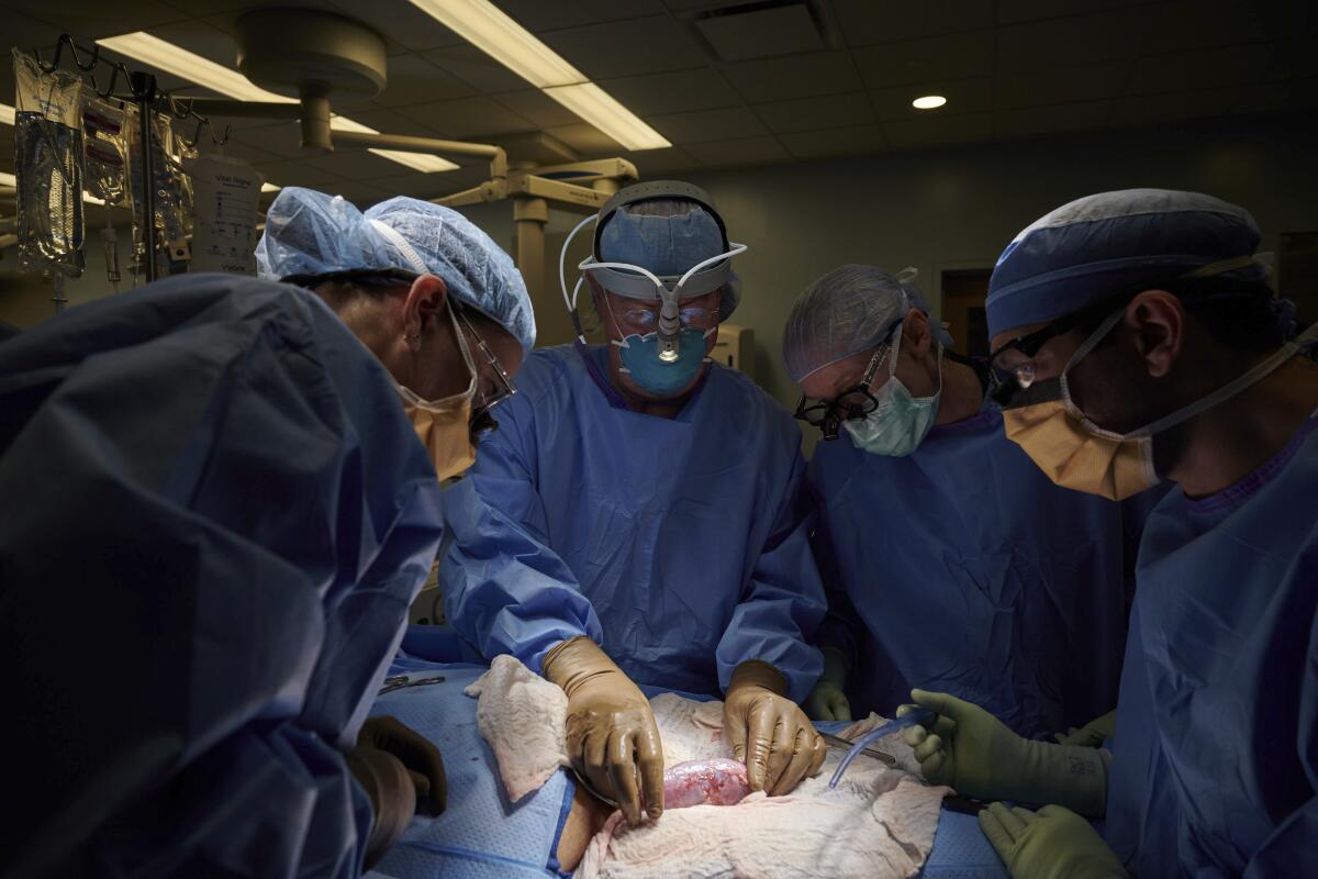 Four surgeons huddle around an operating table