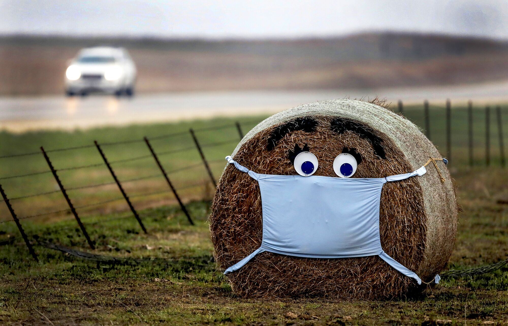 UNITED STATES: A hay bale along the edge of a cattle pasture near Florence, Kansas, is adorned with a surgical mask amid the coronavirus pandemic.