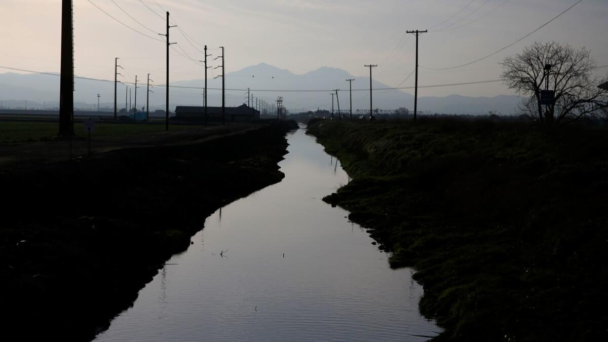 A water channel near Stockton in the Sacramento-San Joaquin Delta.