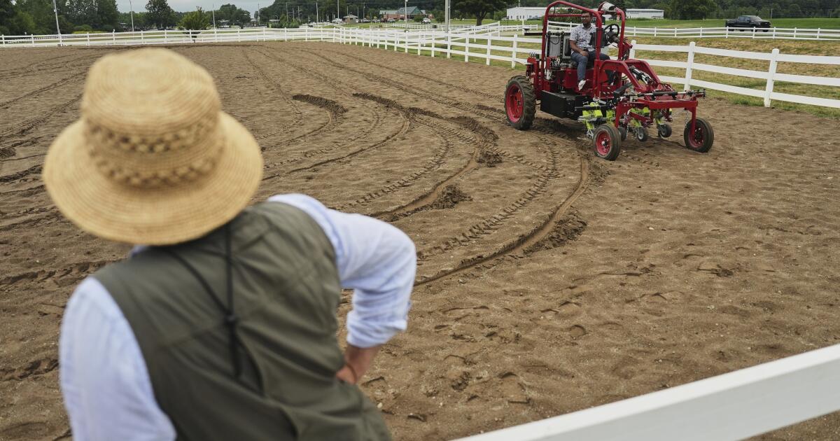 Value of fuels ought to embody the fee to society of burning them Value of fuels ought to embody the fee to society of burning them